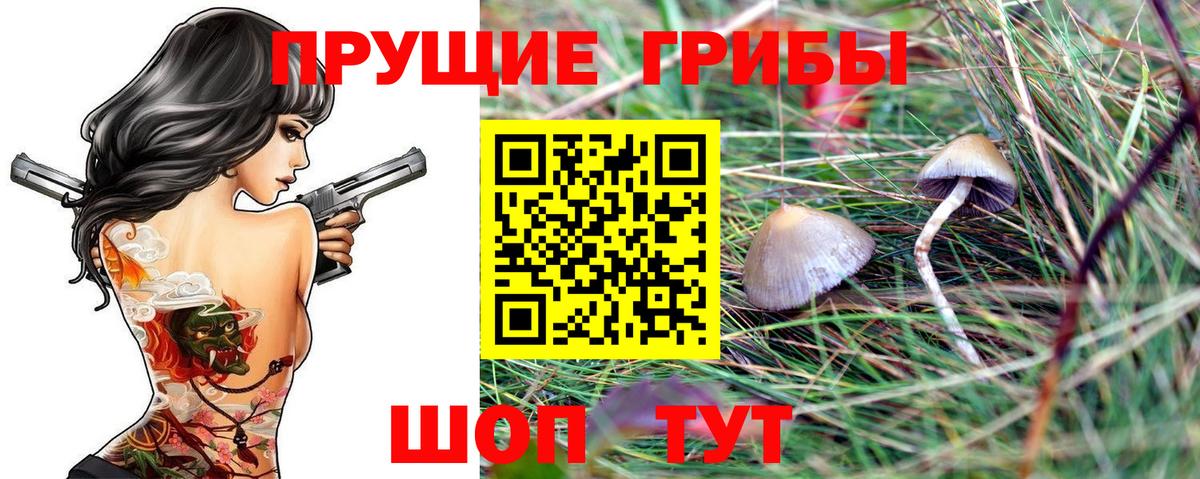 Галлюциногенные грибы GOLDEN TEACHER  Вход с VPN  Галлюциногенные грибы Psilocybine cubensis  закладки  Видное 